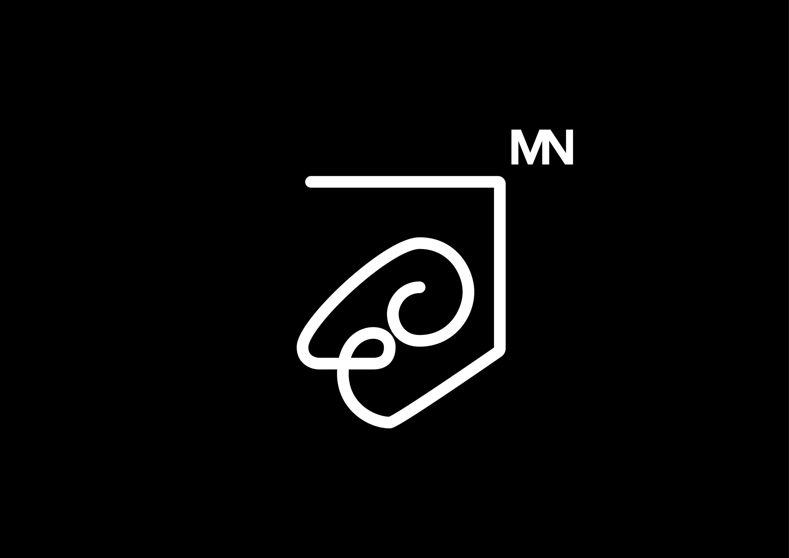 BrandBook MN consulting HD5