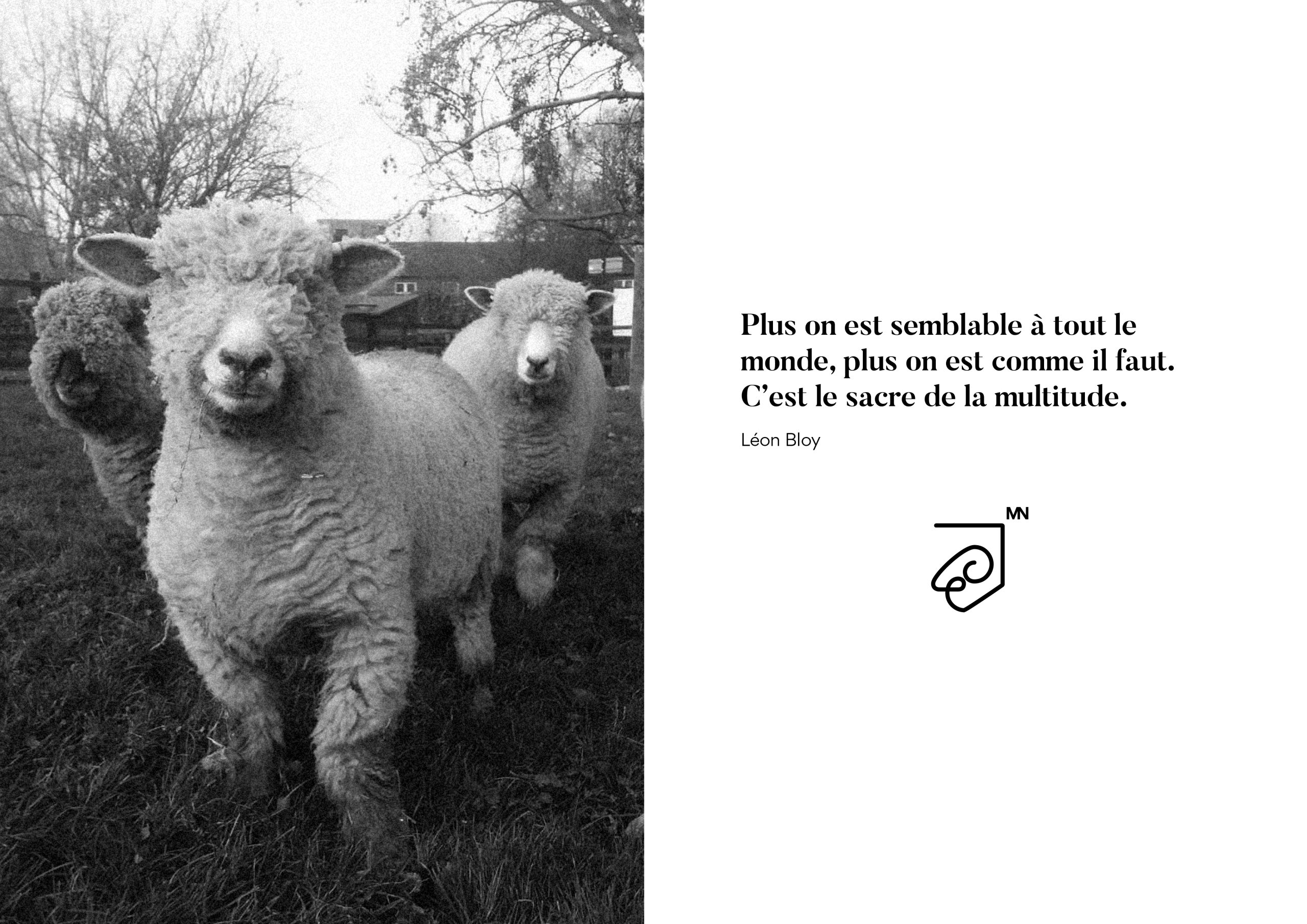 BrandBook MN consulting HD8