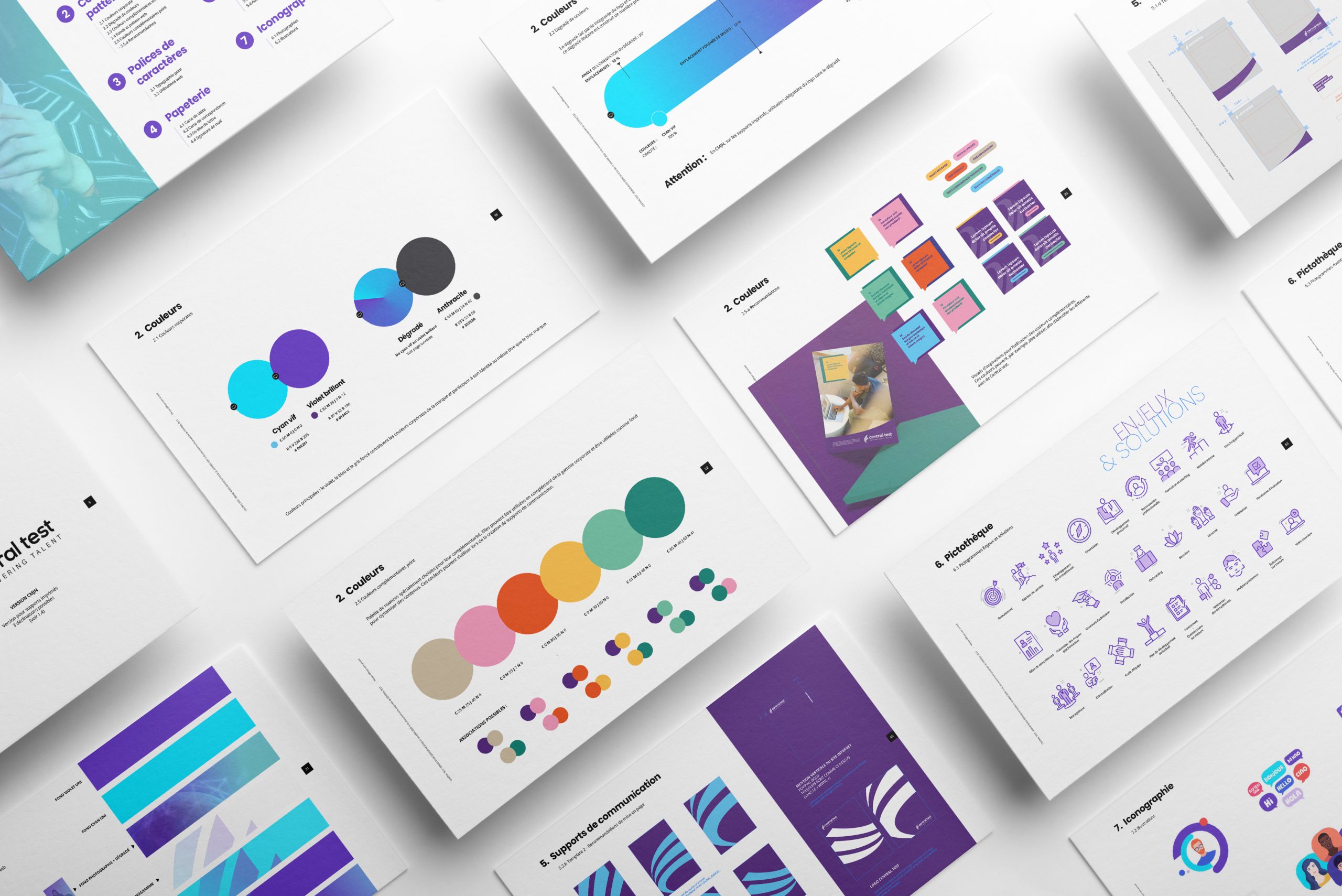 BrandBook-CentralTest-Grizzli